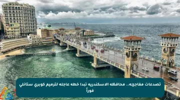 تصدعات مفاجئة.. محافظة الإسكندرية تبدأ خطة عاجلة لترميم كوبري ستانلي فوراً
